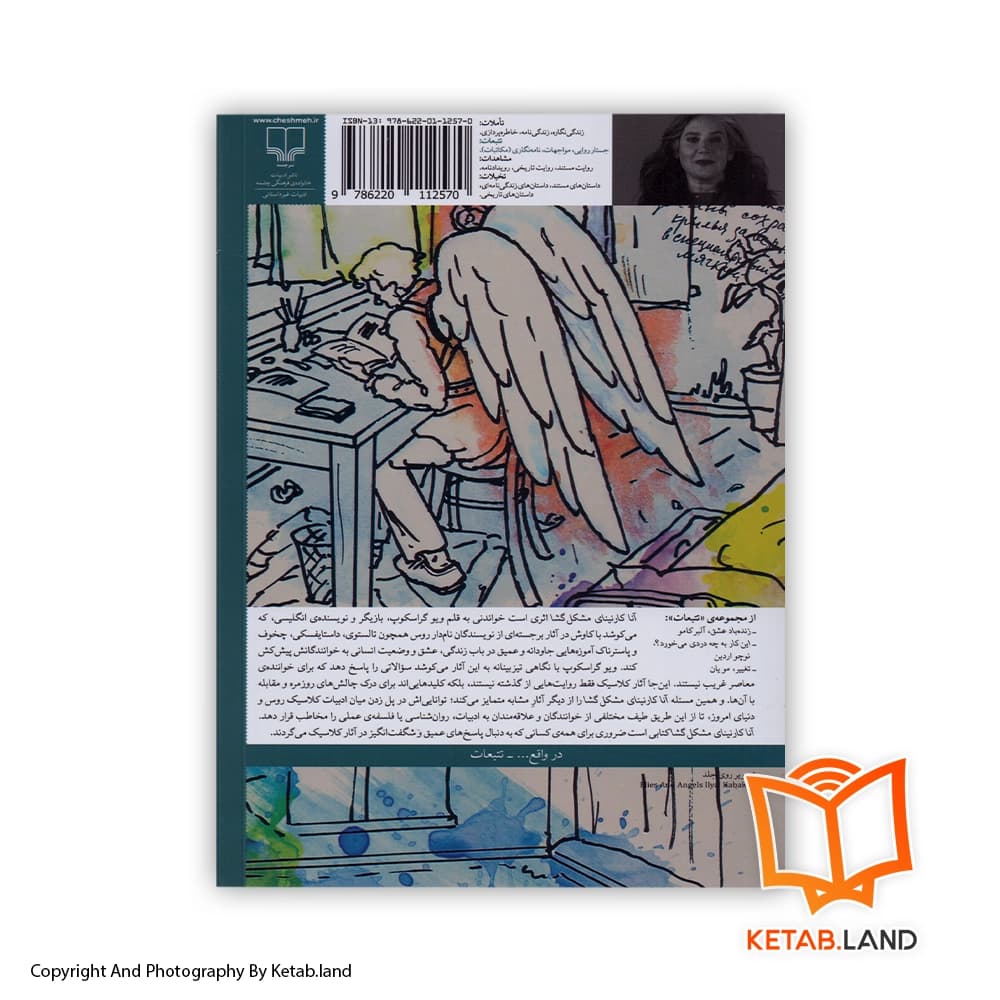 کتاب آناکارنینای مشکل گشا — تصویر ۳