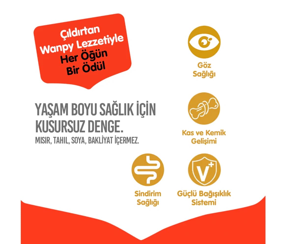 غذای خشک گربه بالغ ونپی طعم مرغ حاوی دانه تشویقی وزن 8 کیلوگرم Wanpy Adult Chicken — تصویر ۴
