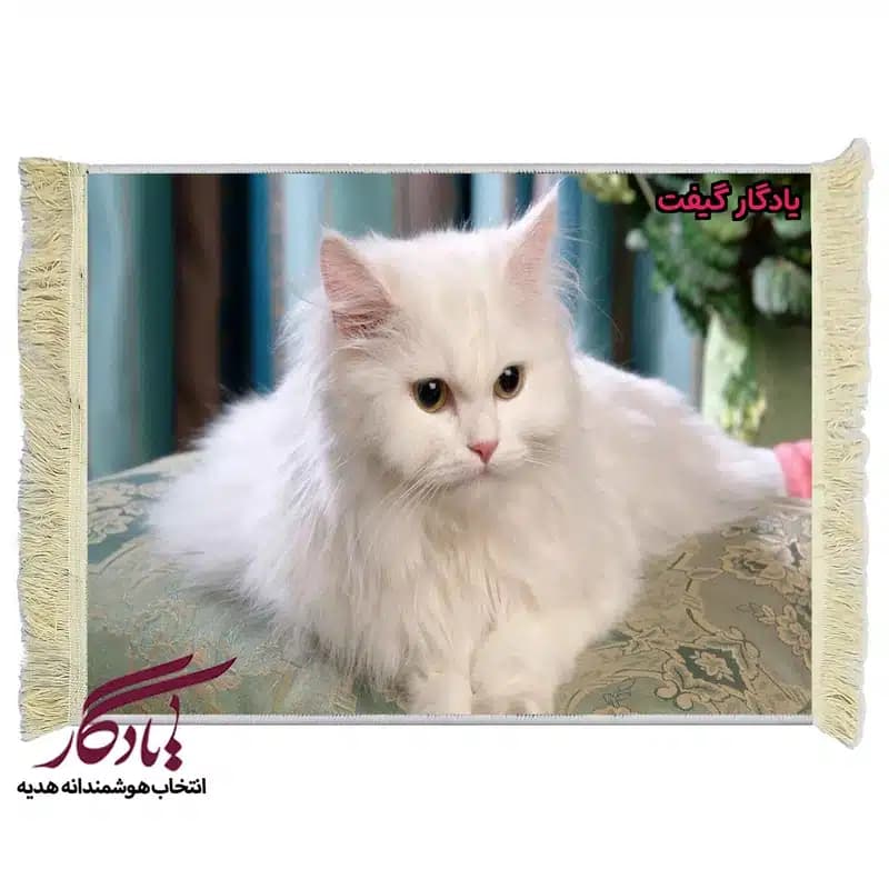 تابلو فرش ماشینی طرح حیوانات گربه ایرانی کد h81