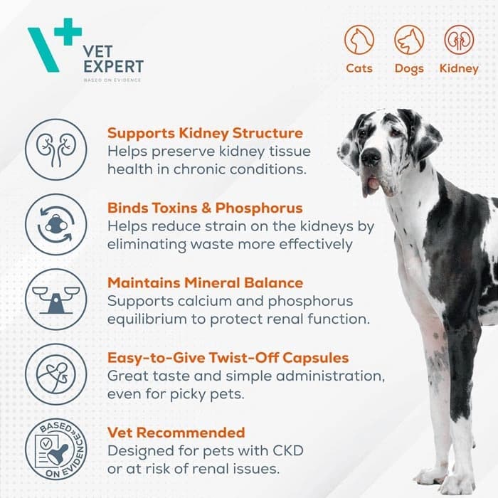 کپسول مکمل سگ و گربه وت اکسپرت برای پشتیبانی بیماری مزمن کلیه 60 عددی Vet Expert RenalVet — تصویر ۳