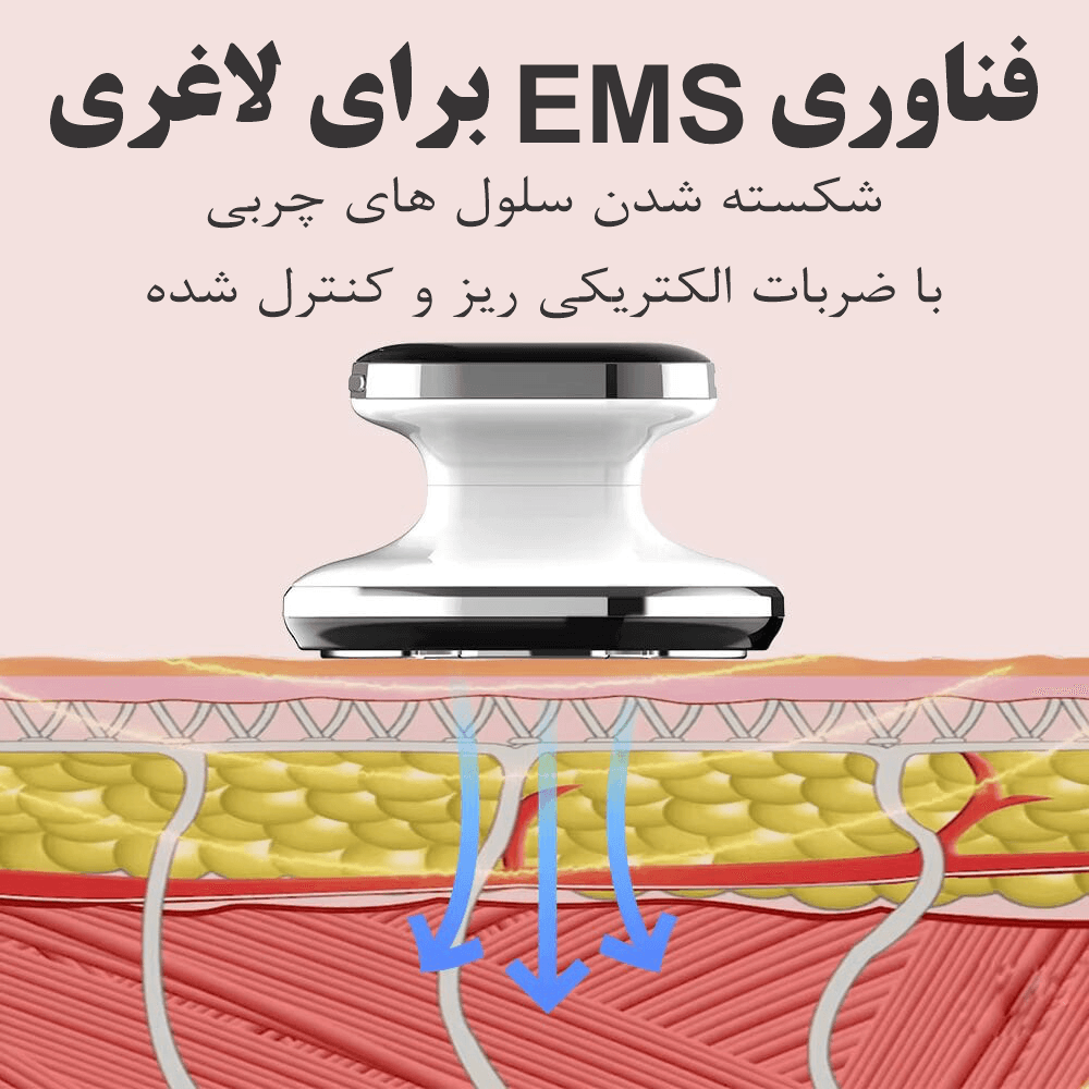 ماساژور لاغری RF کد SH 1201 — تصویر ۷