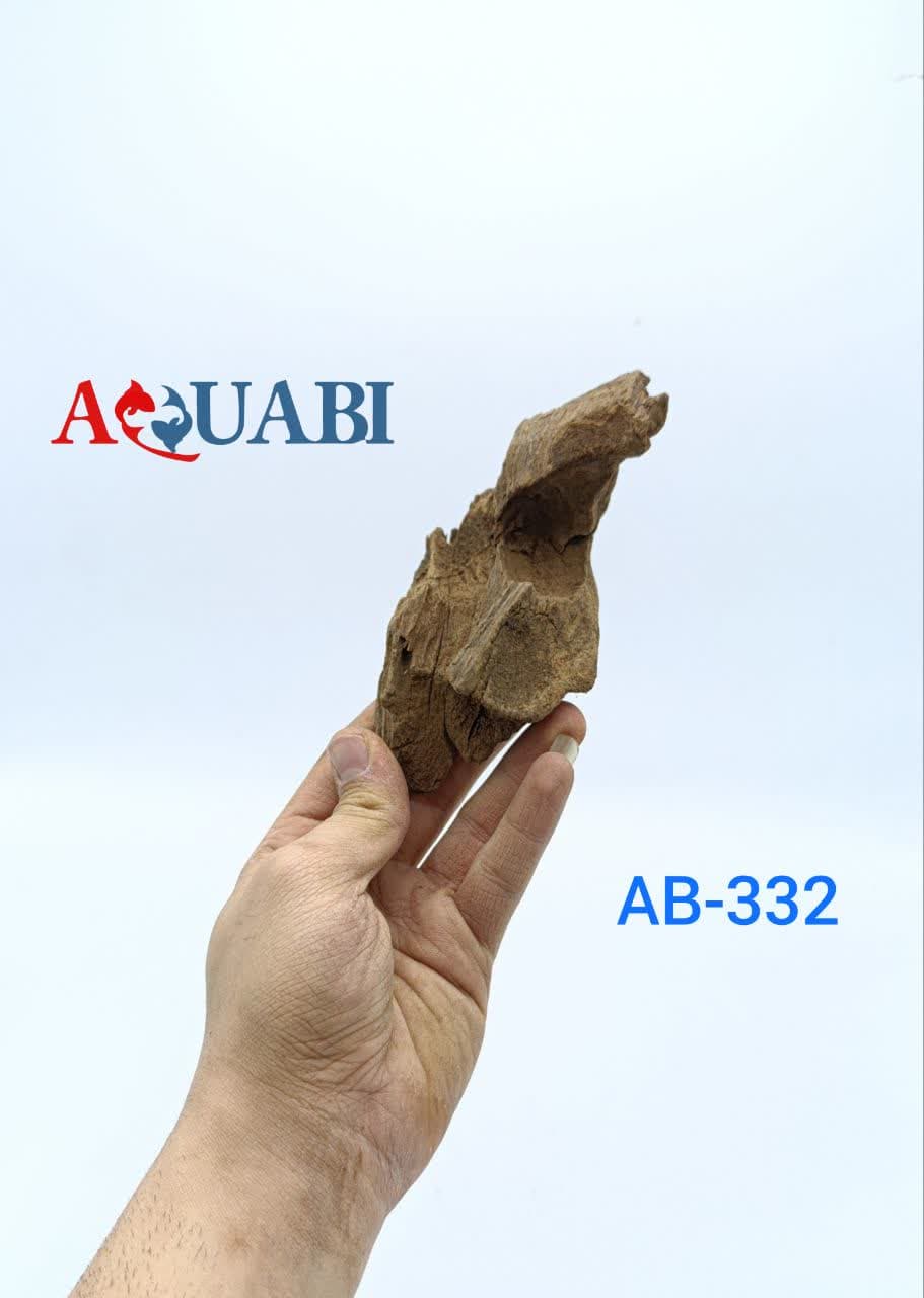 تنه چوب آبنوس آکواریوم AB-332 دریفت وود — تصویر ۲