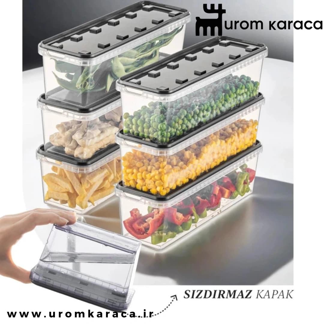 ظرف نگهدارنده 6 عددی Vienev وینف
