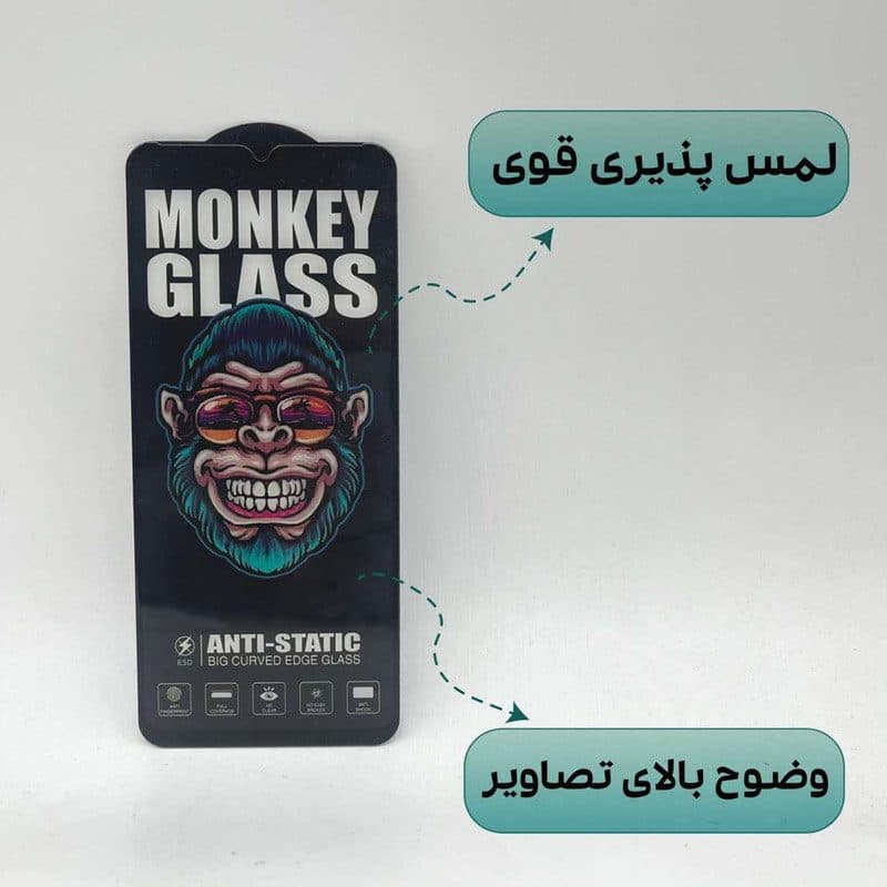 محافظ صفحه نمایش گوشی آیفون 12 پرومکس مدل Monkey Anti Static — تصویر ۹