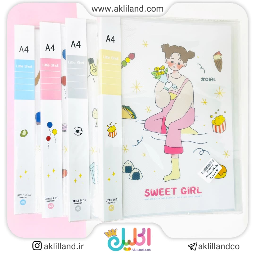پوشه فانتزی شفاف A4(رندوم)