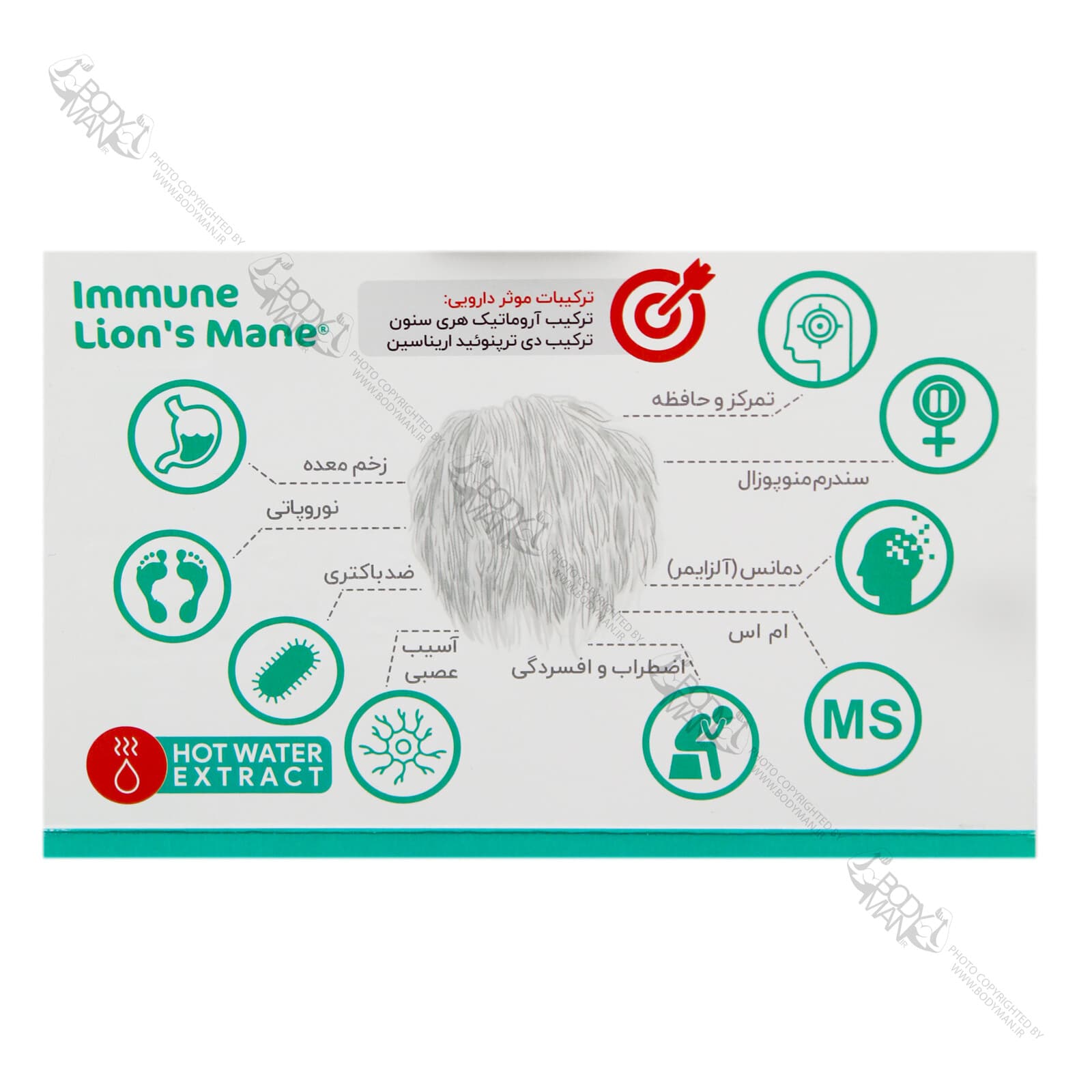 ایمیون لاینزمین ماشروم مد | Mushroom Med Immune Lions Mane — تصویر ۲