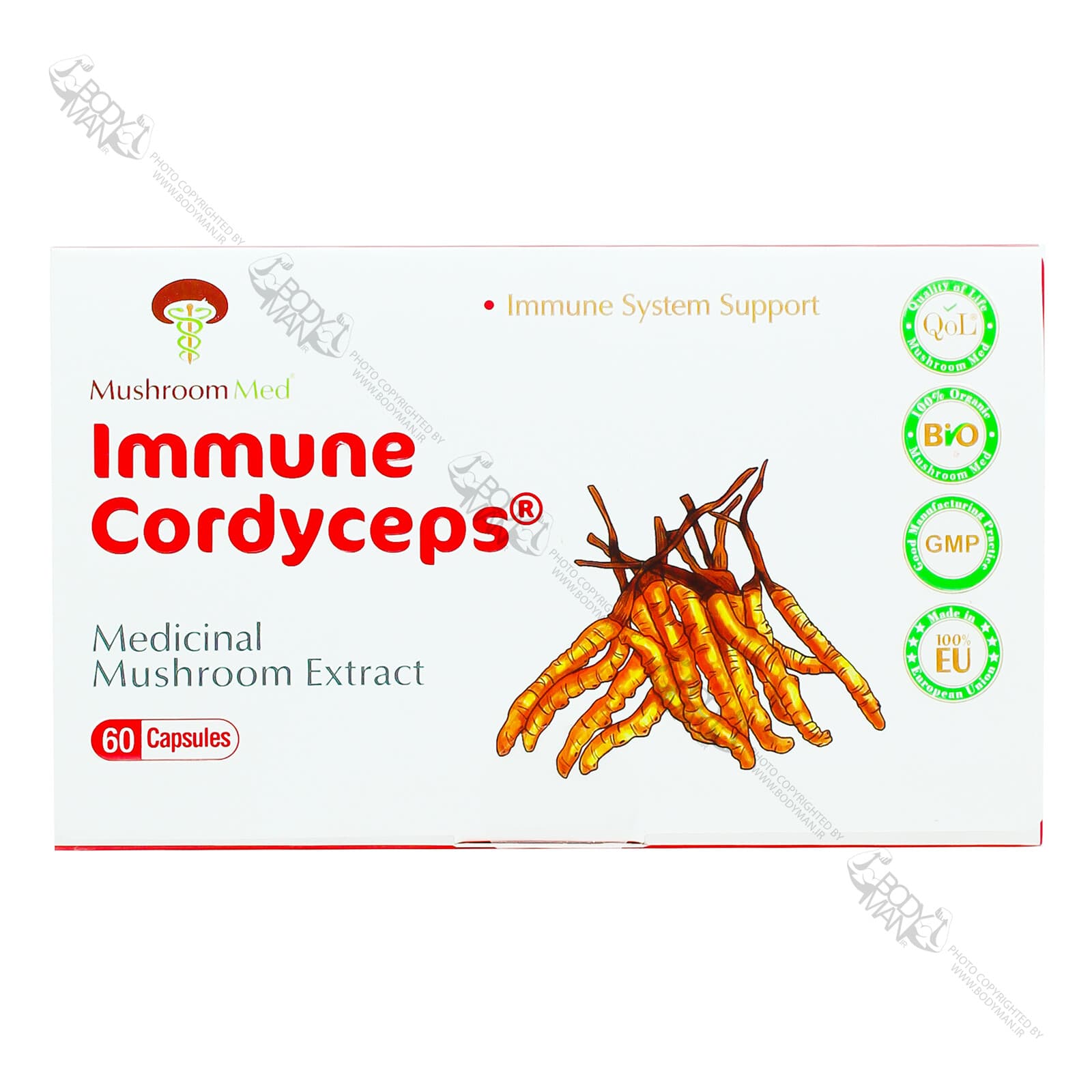 کوردیسپس ماشروم مد | Mushroom Med Immune Cordyceps