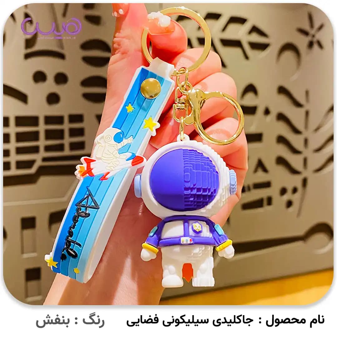 جاکلیدی سیلیکونی فضایی — تصویر ۸