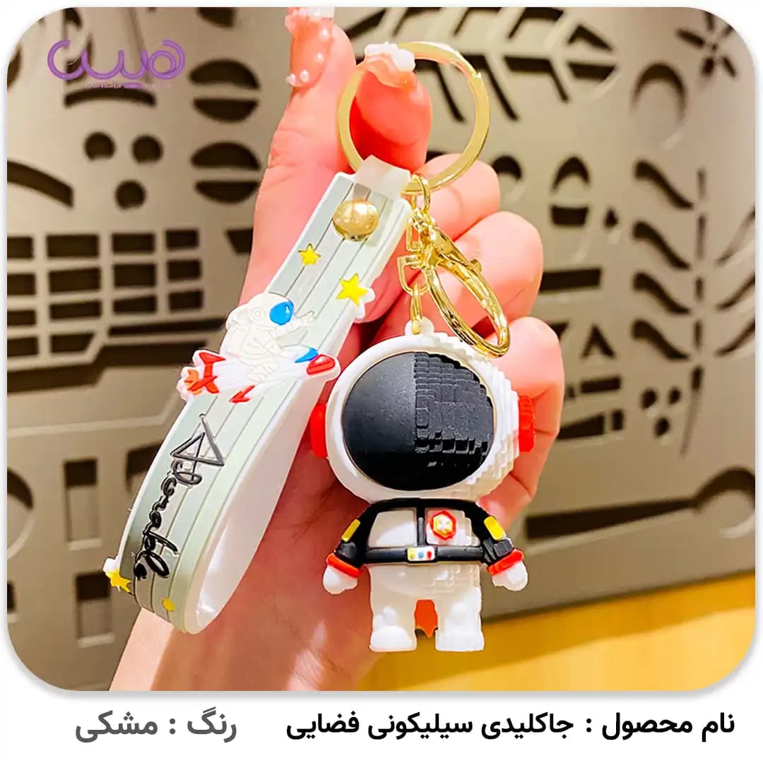 جاکلیدی سیلیکونی فضایی — تصویر ۱۱