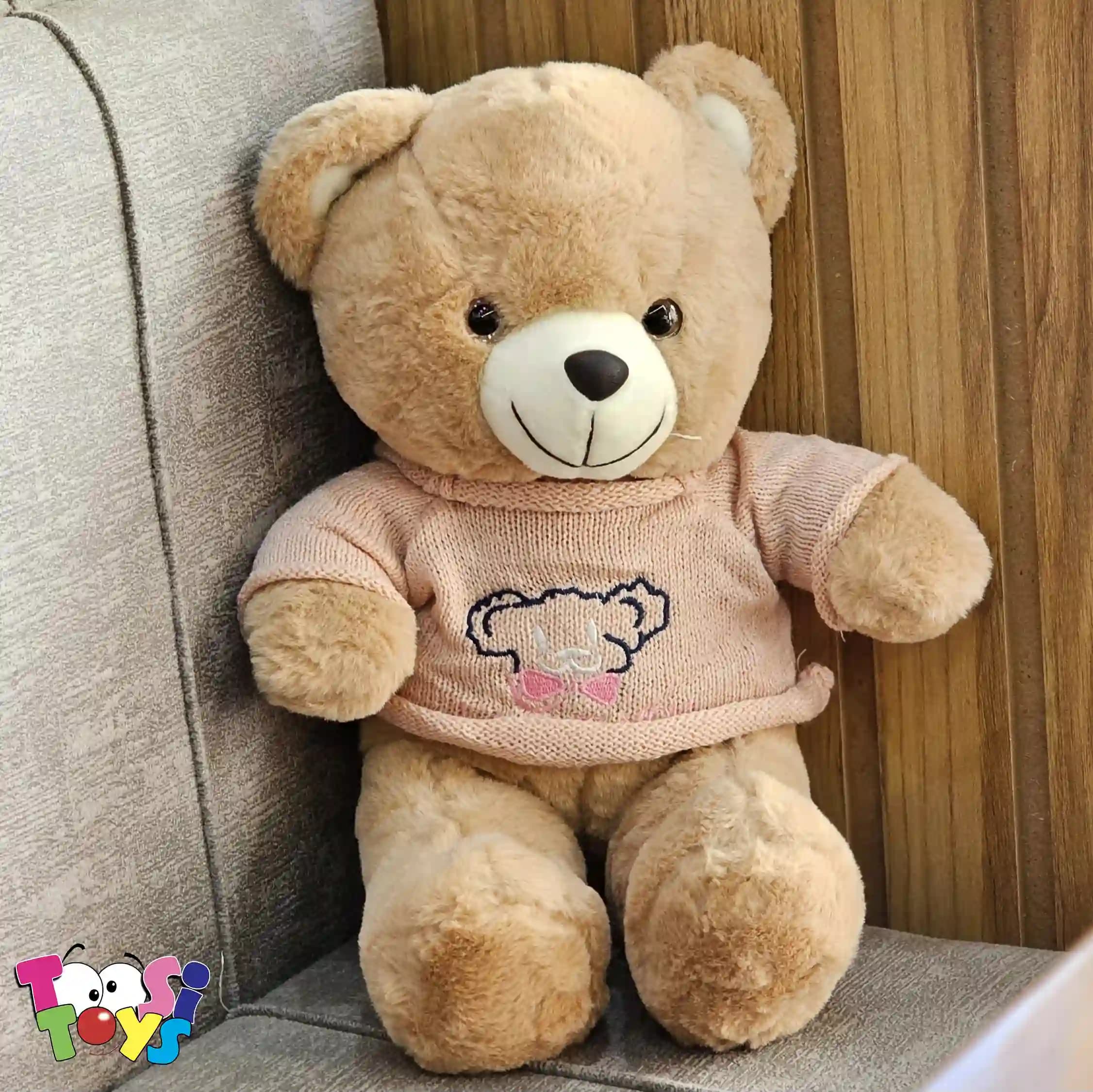 عروسک خرس لباس بافت مایی — تصویر ۲