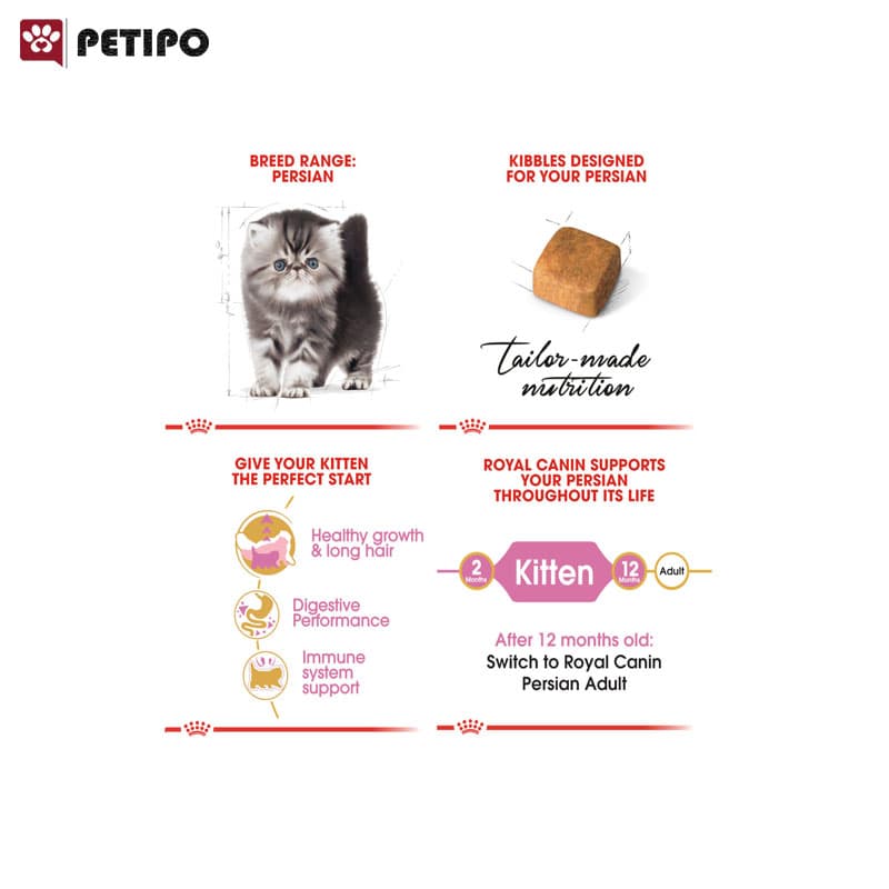 غذای خشک گربه پرشین کیتن رویال کنین (Royal Canin Cat Kitten Persian) وزن 10 کیلوگرم — تصویر ۴