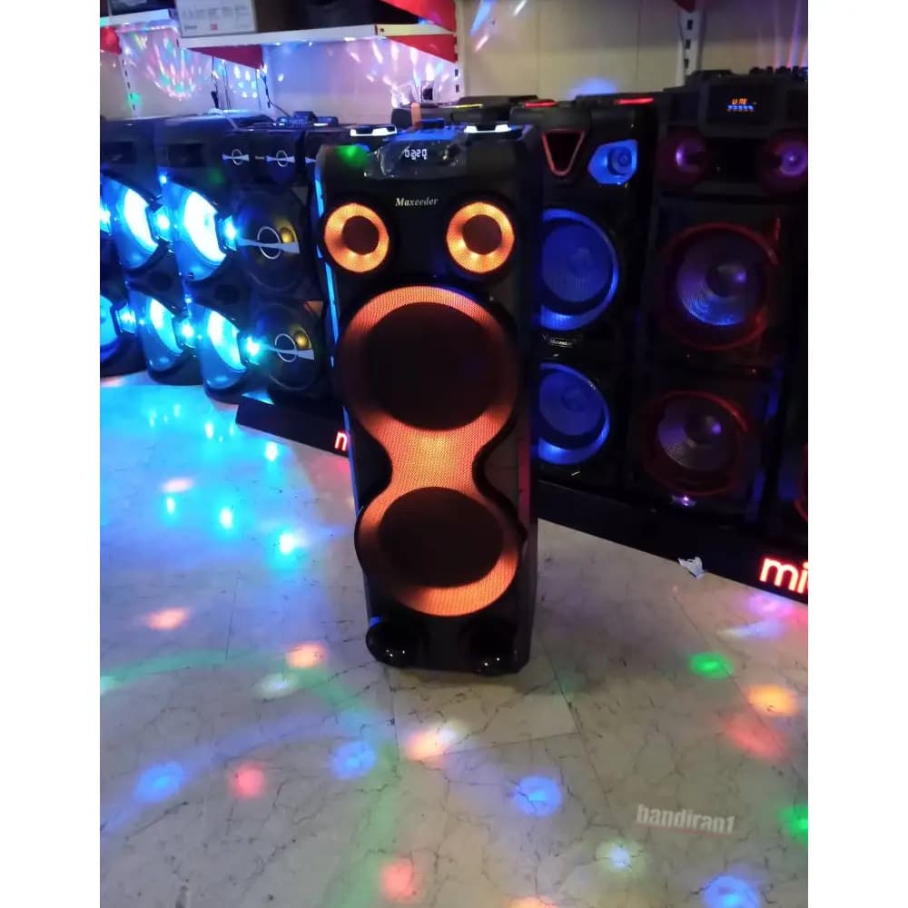 اسپیکر مکسیدر بزرگ مدل maxeeder AE 1294 — تصویر ۳
