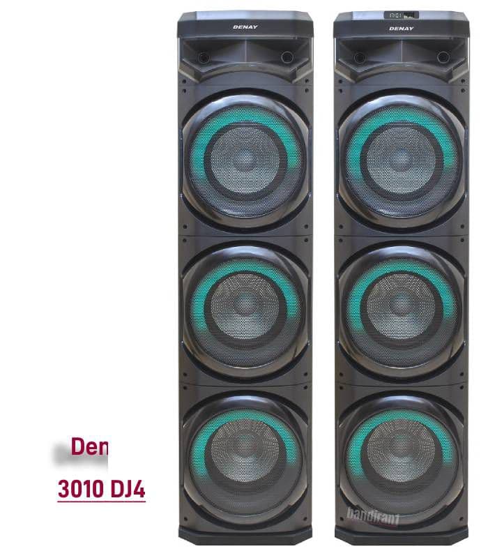 اسپیکر بزرگ دنای مدل DENAY 3010DJ4