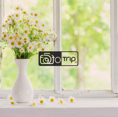 بکدراپ مقوای پلیمری (ضد آب) کد d081