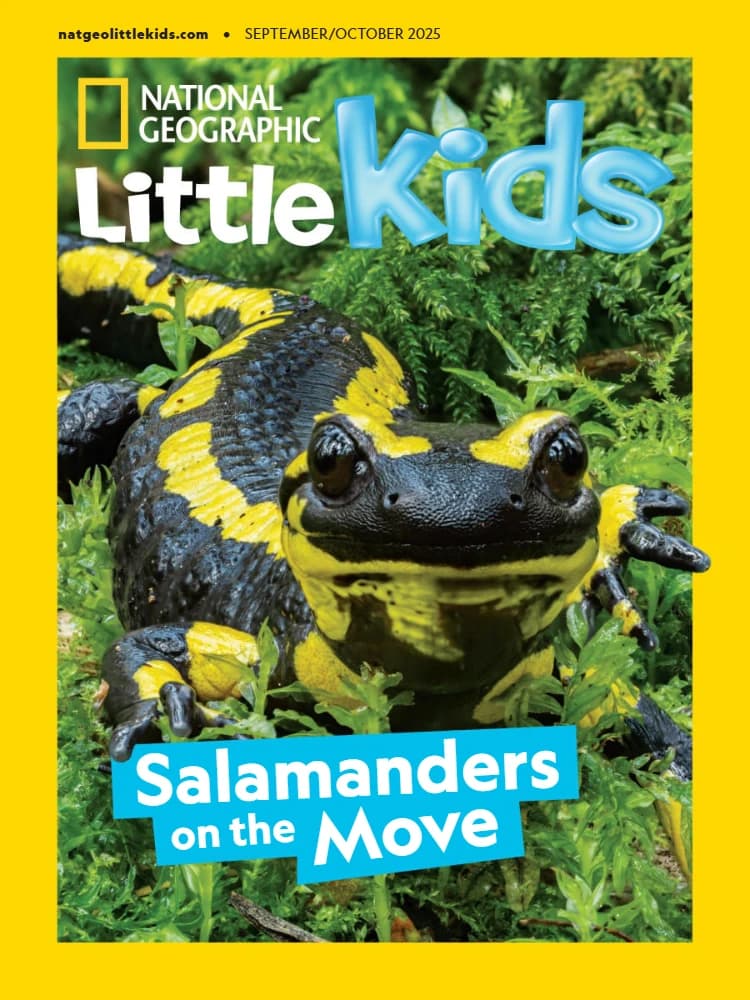 کتاب National Geographic Little Kids USA (مجله نشنال جئوگرافیک کودکان کوچک آمریکا) نسخه انگلیسی PDF