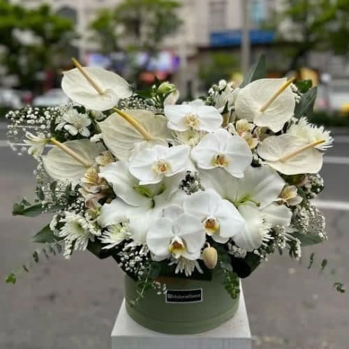 گل فروشی اطراف بانک شهر محله دروس تهران t7376