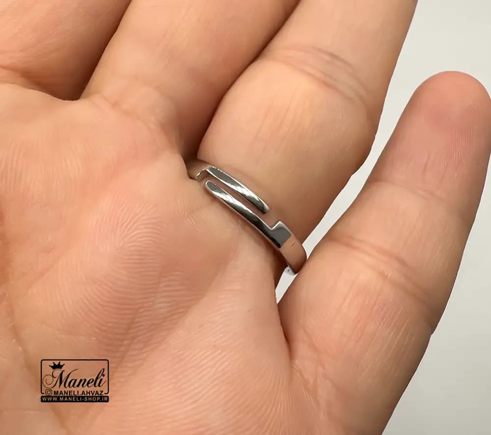 سرویس مجلسی نگین مخراج شده رنگ ثابت نقره ای — تصویر ۲