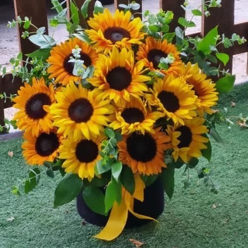 گل فروشی اطراف بانک پارسیان محله بهارستان تهران t7336