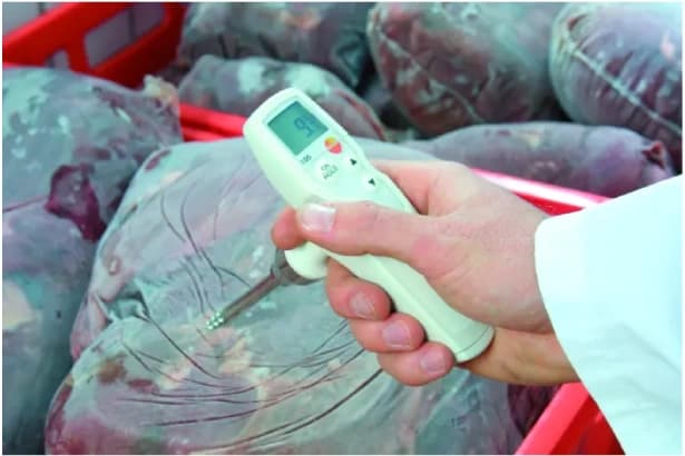 کیت ترمومتر مواد غذایی تستو testo 105 با ۳ پراب قابل تعویض (استاندارد، بلند و منجمد) — تصویر ۷