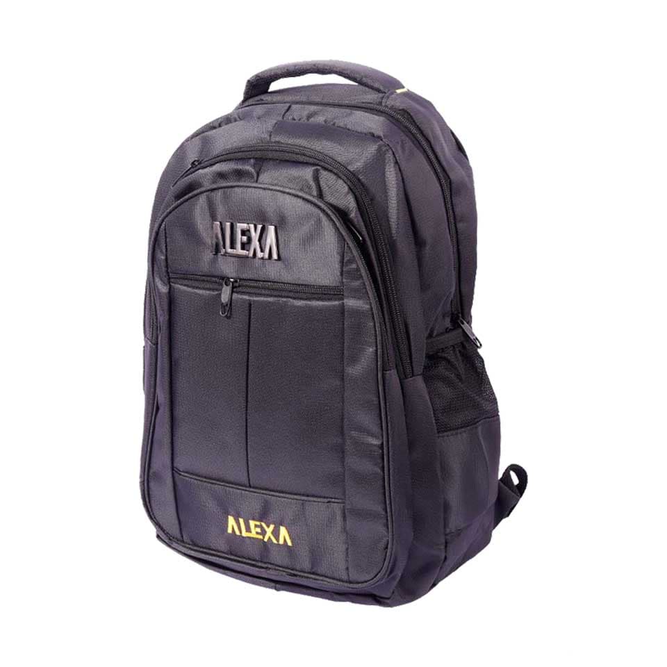 کوله لپ تاپ ALEXA B045