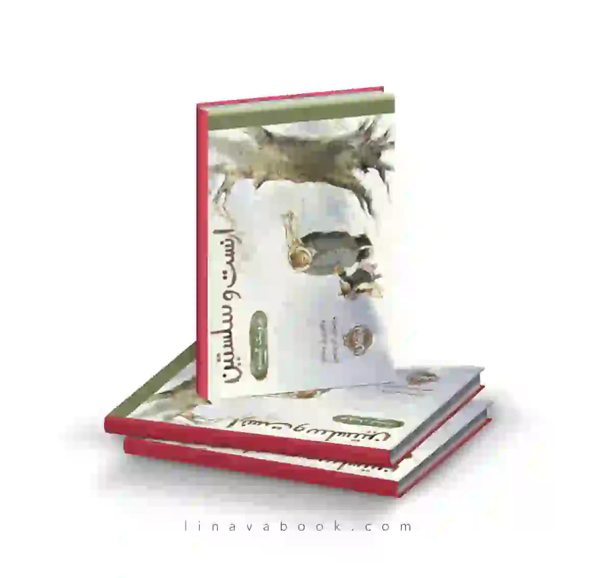 کتاب ارنست و سلستین:عروسک گمشده پرتقال