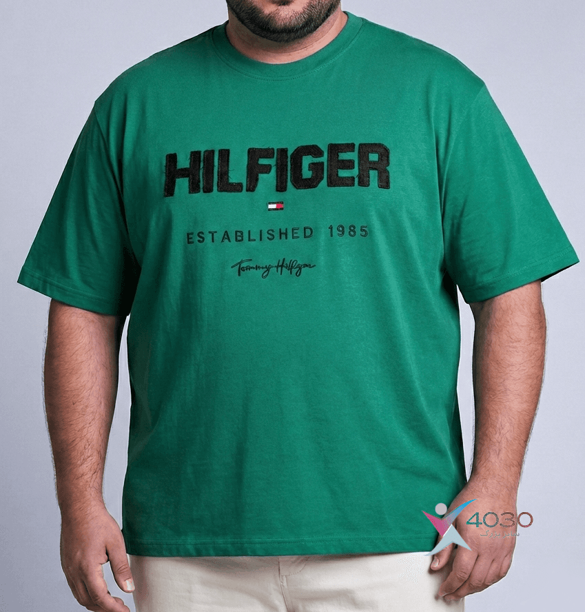 تیشرت HILFIGER سایزبزرگ ( 702 ) — تصویر ۳