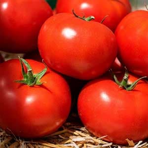 بذر گوجه فرنگی کیان ثمین بذر وزن 250 گرم — تصویر ۲