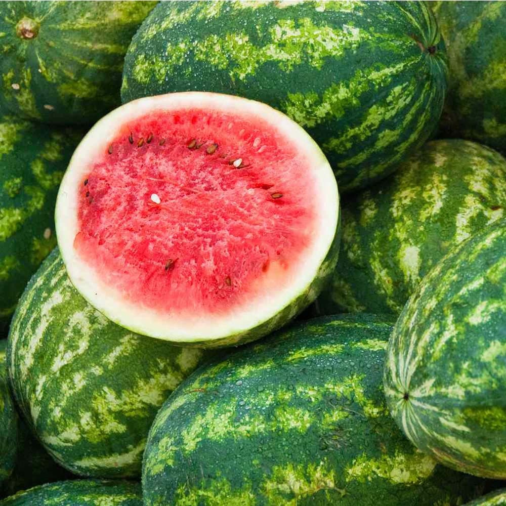 بذر هندوانه ویکیما