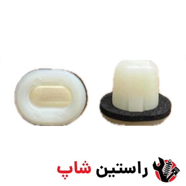 خار دور گلگیر مادگی رونیز