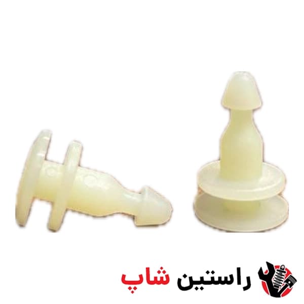 خار دور گلگیر نری ریچ