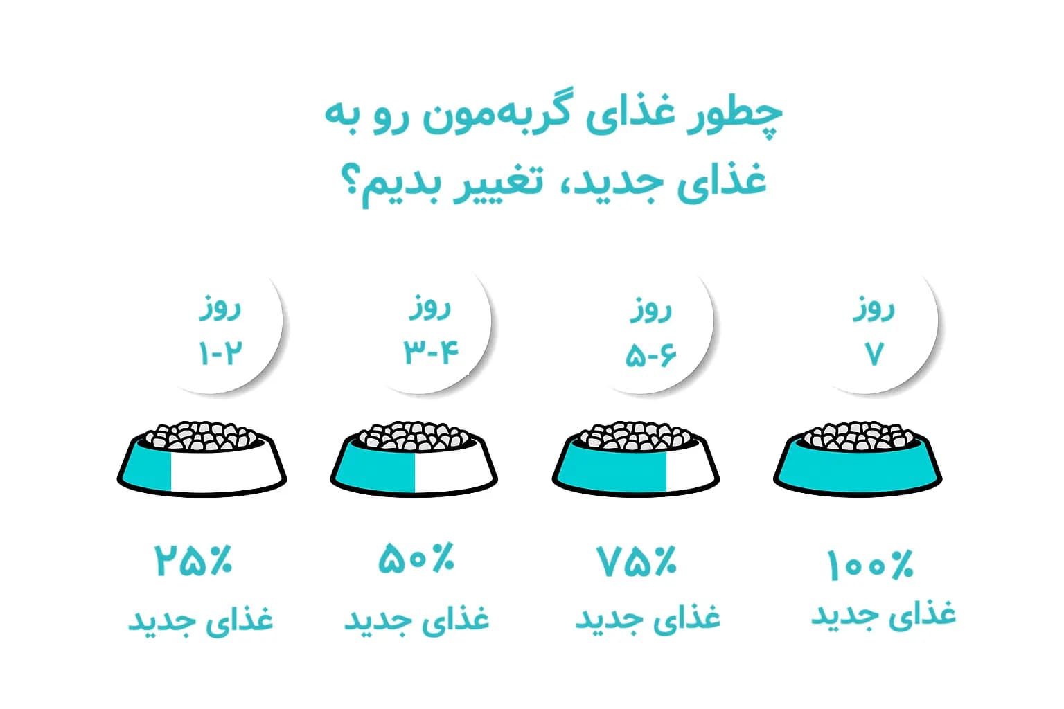غذا خشک بچه گربه (کیتن) رویال کنین ۴۰۰ گرمی — تصویر ۲