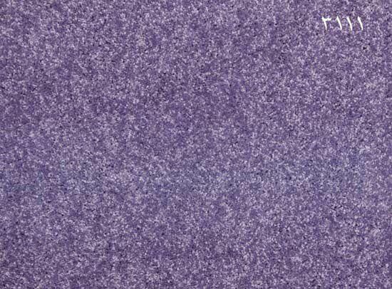 موکت کات 5101 طرح پالاز موکت