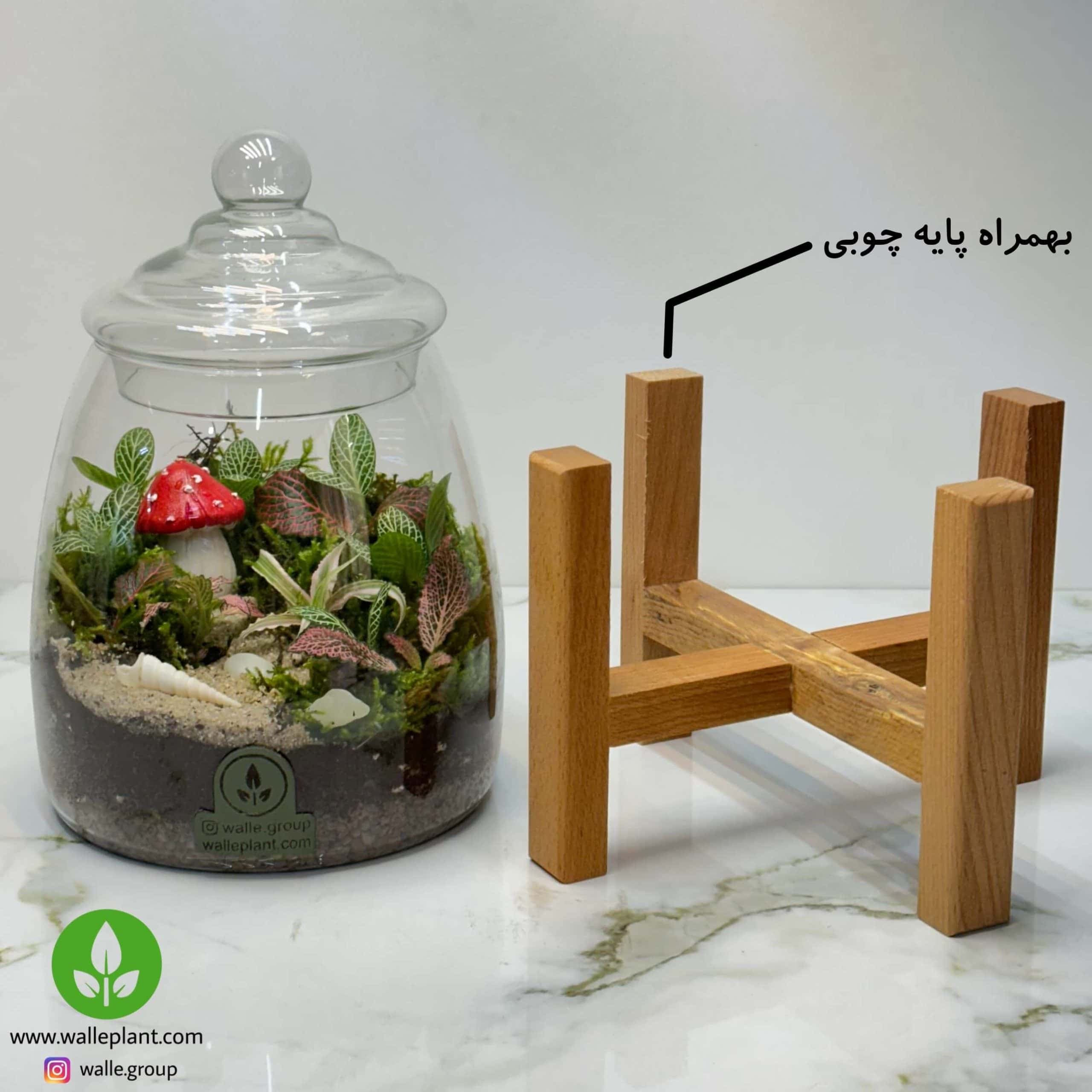 تراریوم آهو + پایه چوبی 2 — تصویر ۳