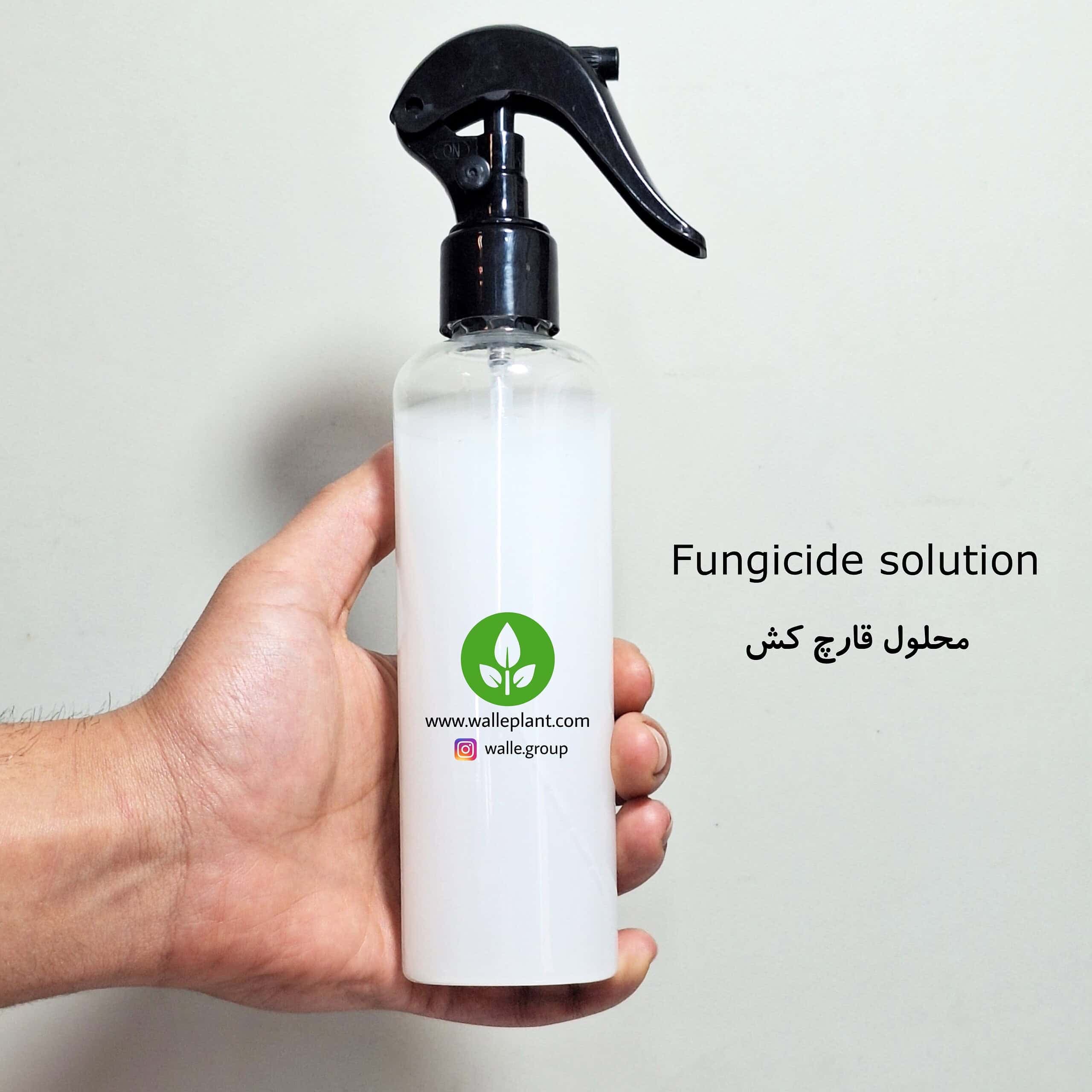 قارچ کش تراریوم
