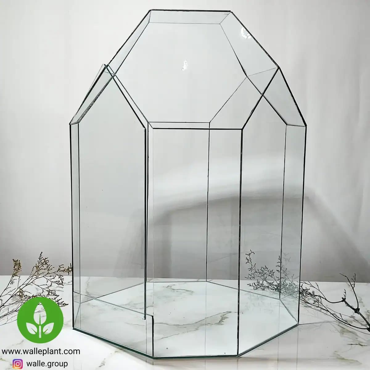 شیشه تراریوم چندضلعی