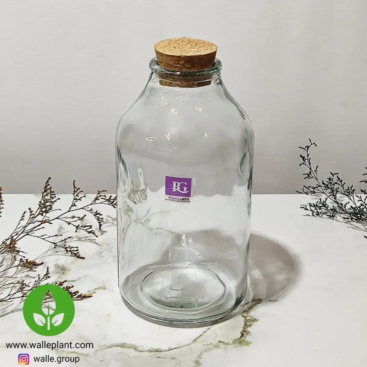 شیشه تراریوم مدل آمازون پیشگامان