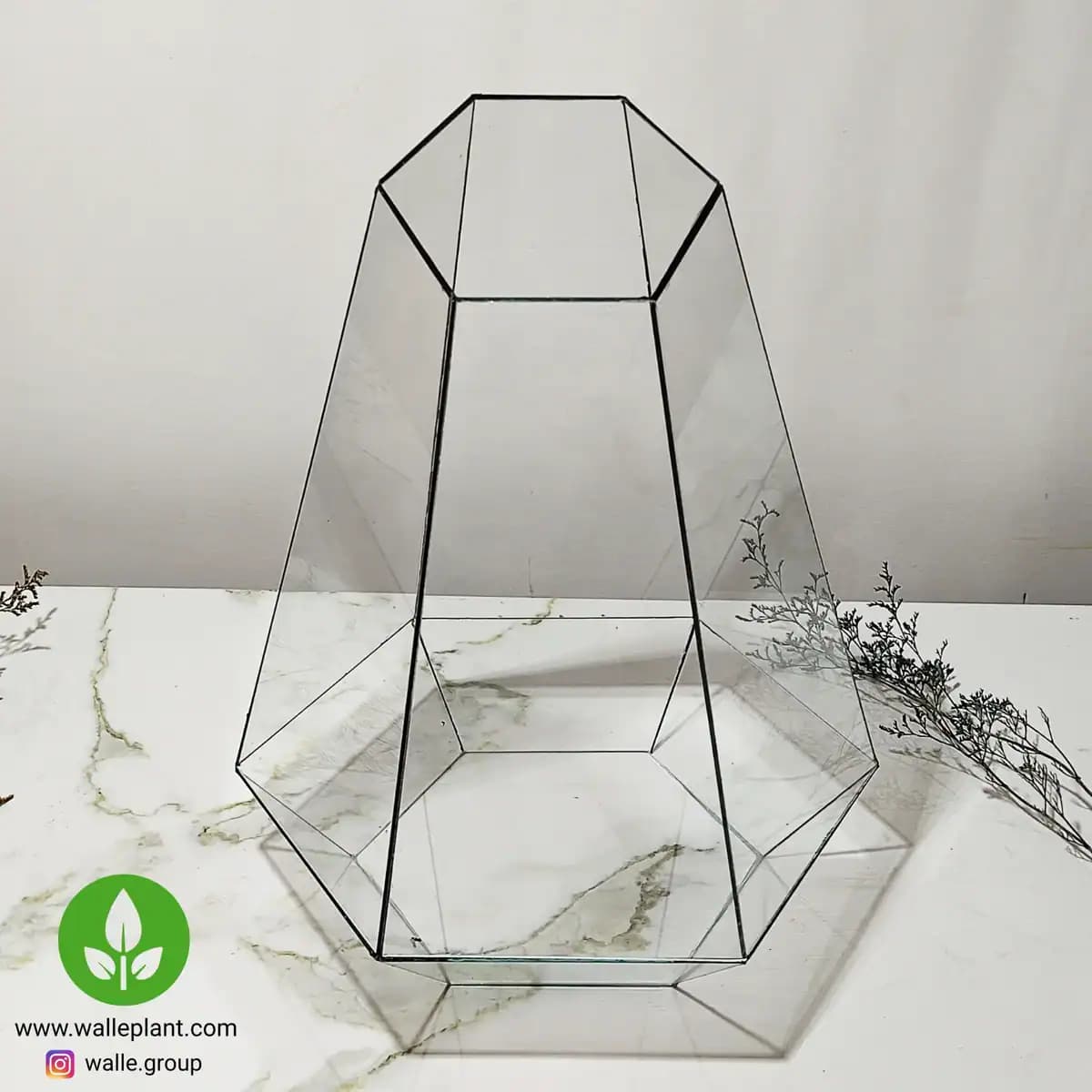 شیشه تراریوم ششضلعی