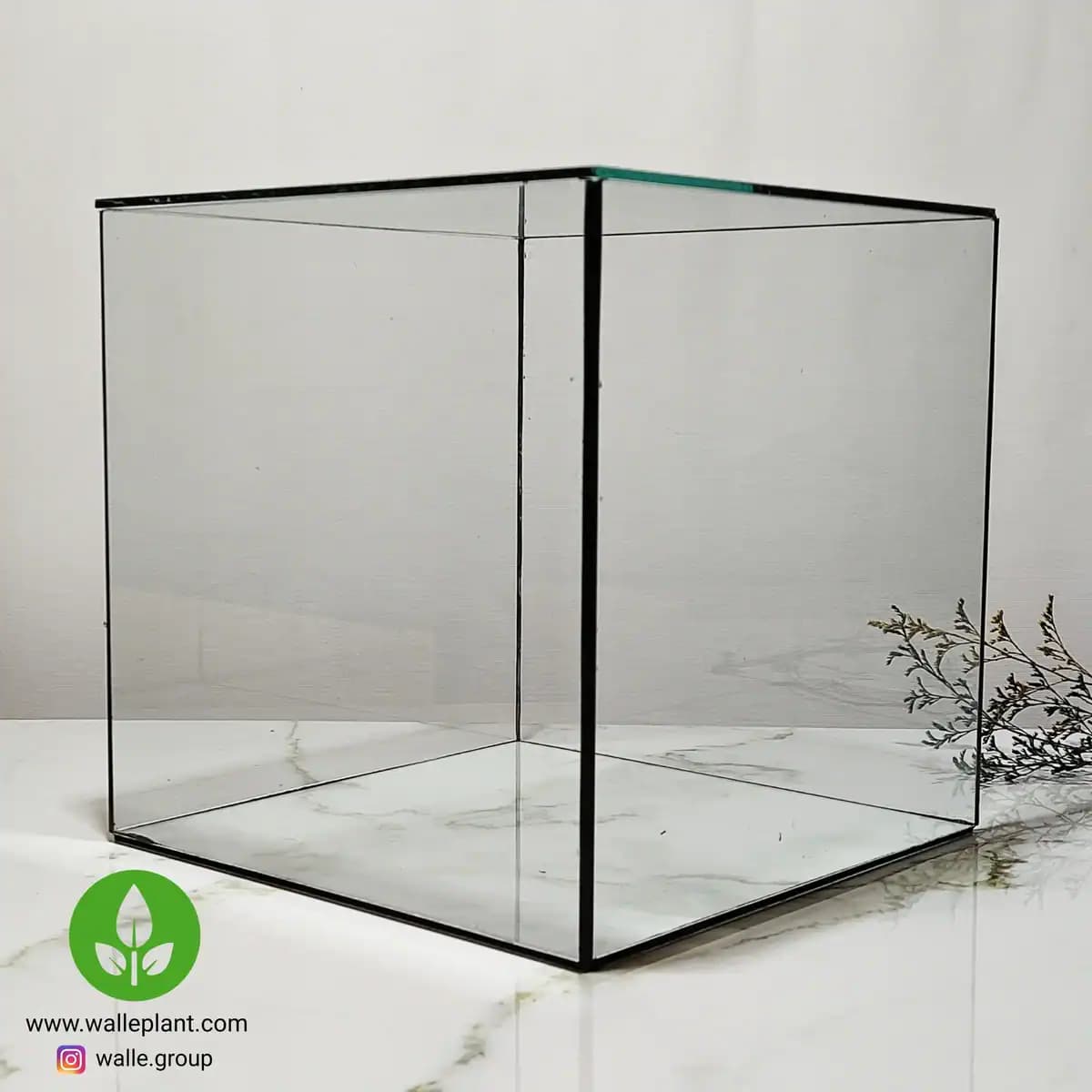 شیشه تراریوم مکعبی مدل کلاسیک سایز ۲۰