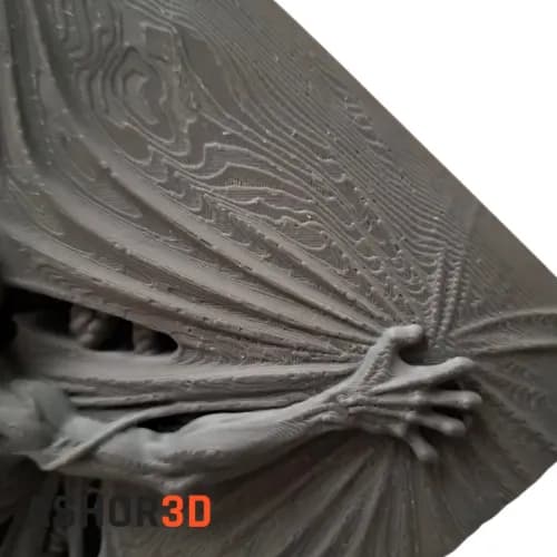 دکوری سه بعدی Emergence 2 — تصویر ۲