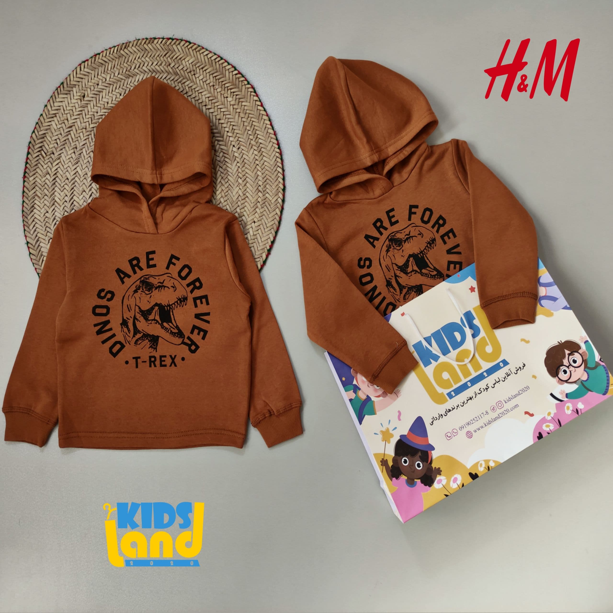 هودی آجری تیرکس H&M
