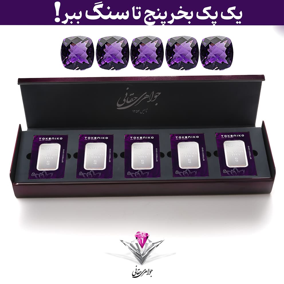 باندل پک پنج عددی لوکس شمش نقره توکنیکو 10گرمی به همراه پنج عدد سنگ آمیتیست هدیه