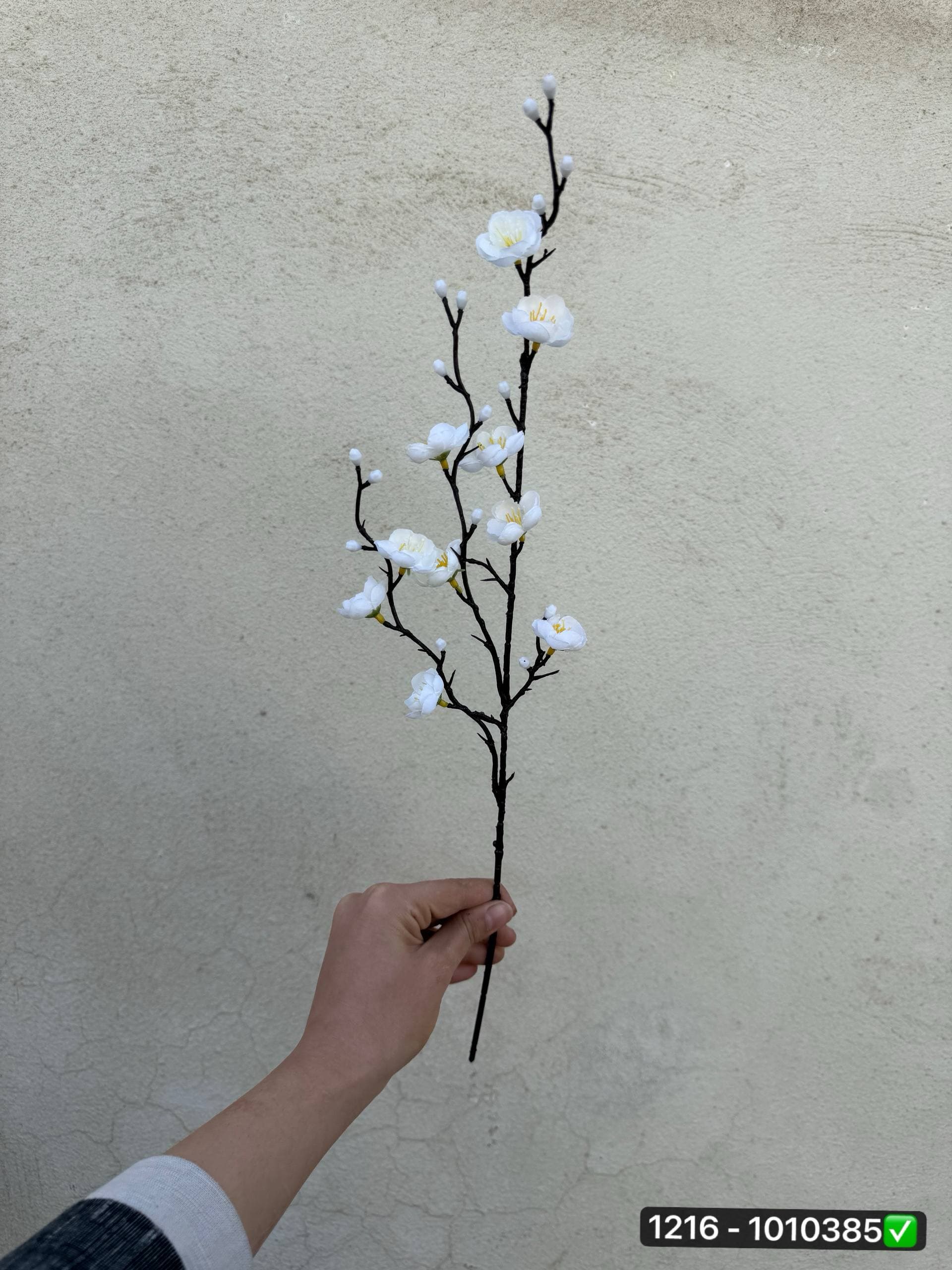شاخه شکوفه ژاپنی مینیمال — تصویر ۳