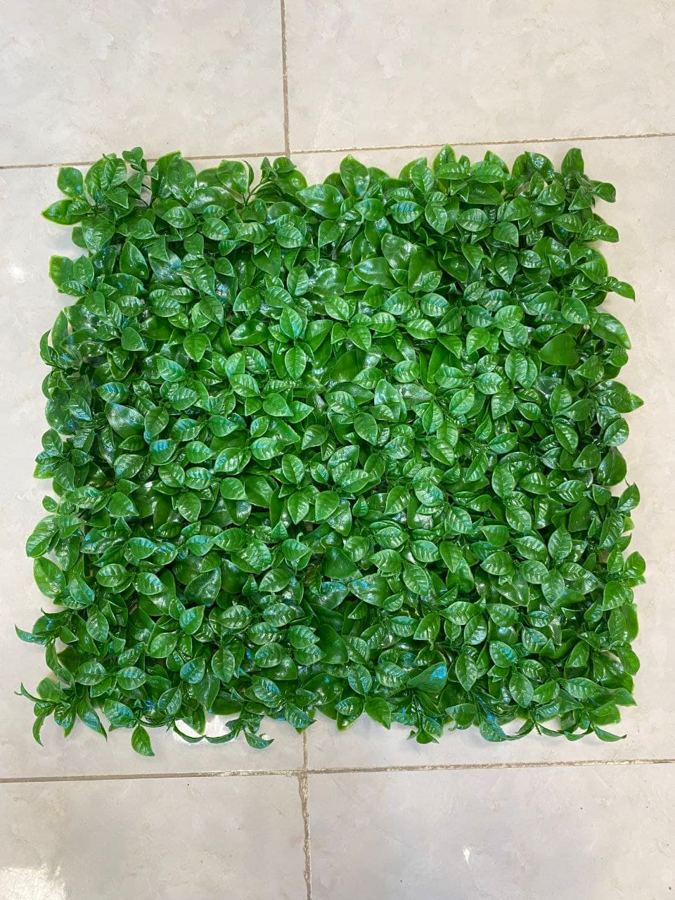 ریحونی ساده