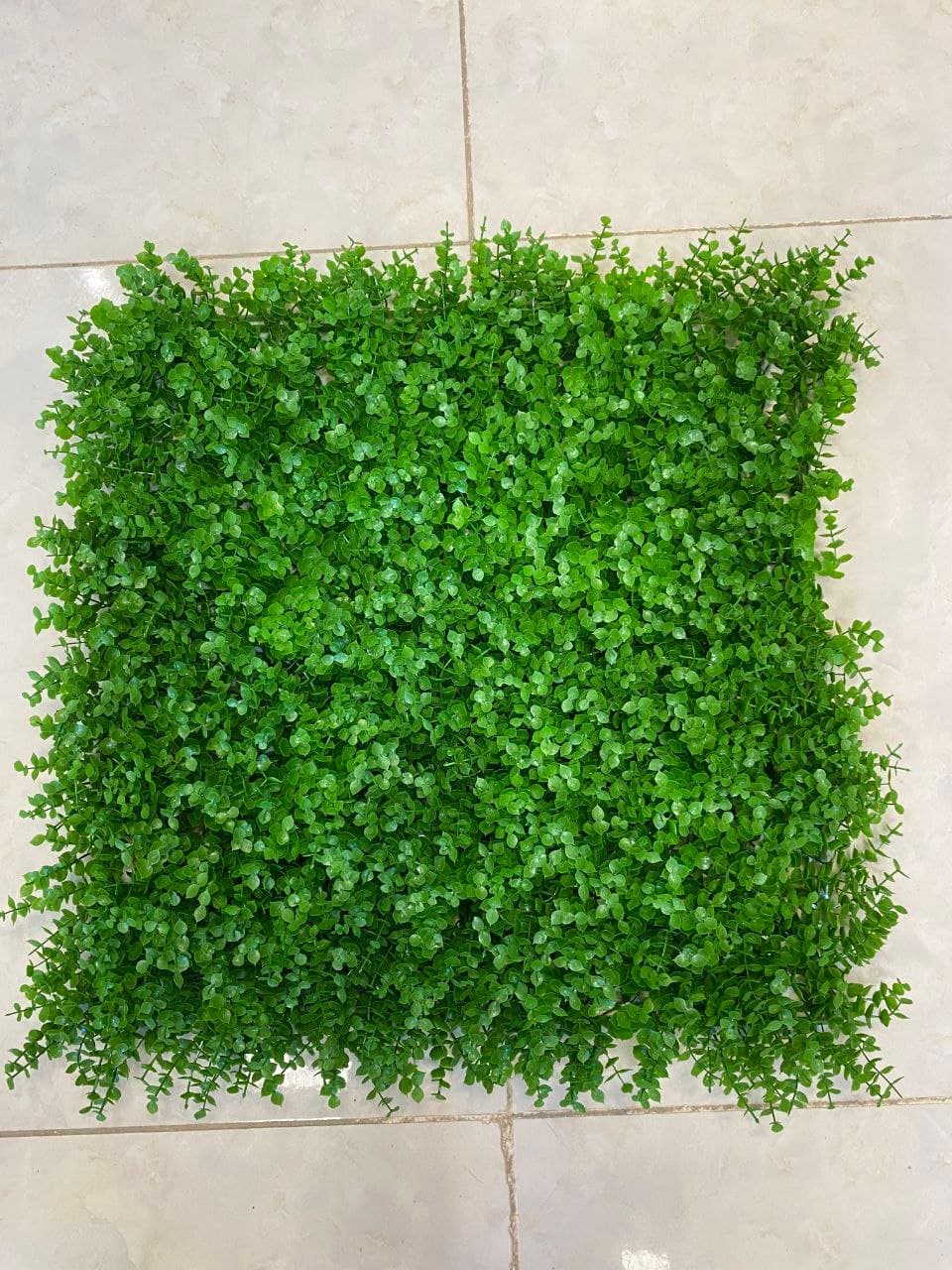 شمشادی ریز