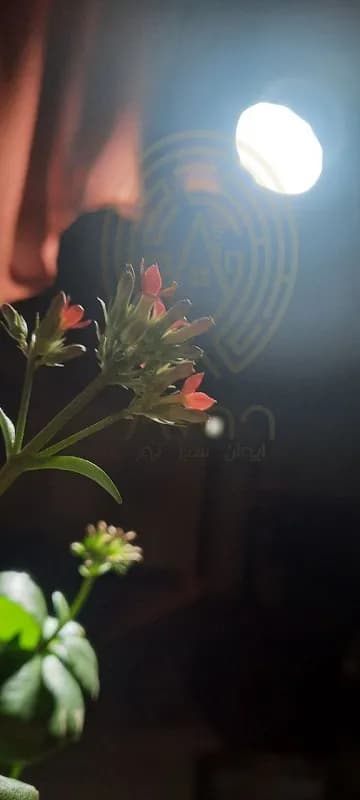 سرپیچی رشد گیاه 7 وات — تصویر ۷
