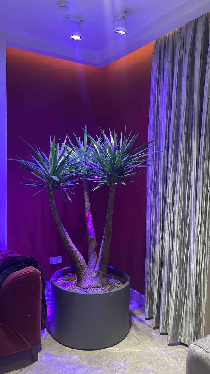 چراغ ریلی رشد گیاه 12 وات — تصویر ۴