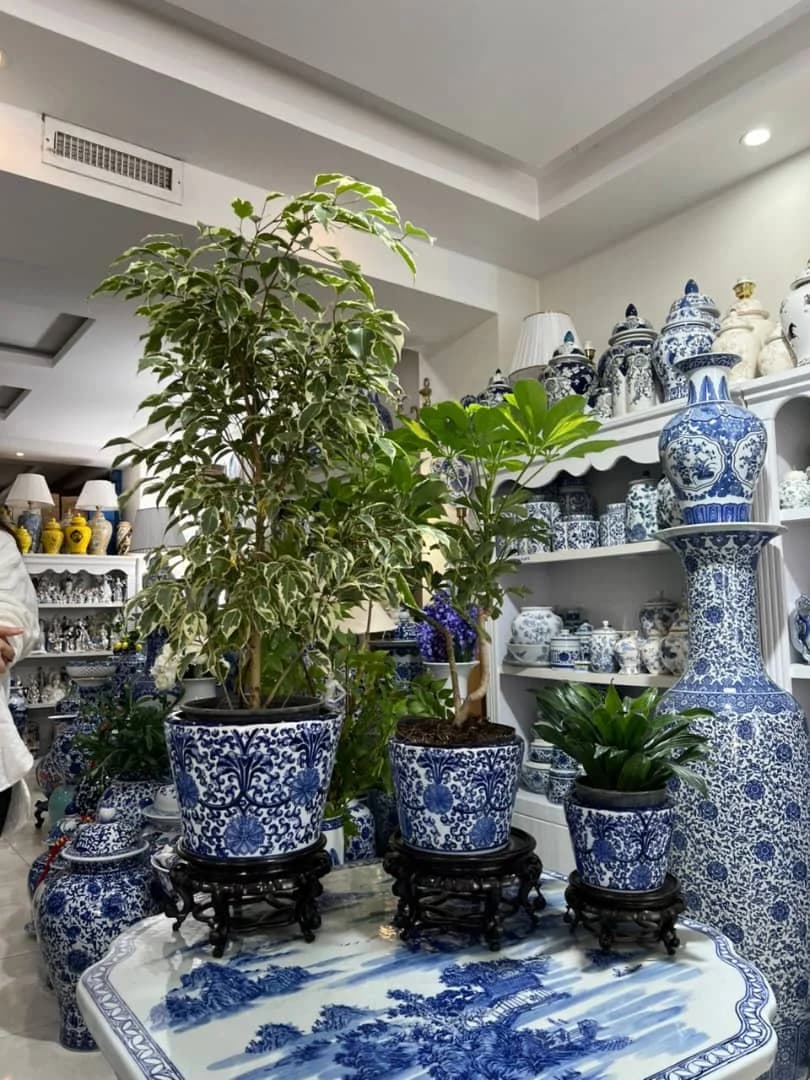 گلدان ۳سایزی پک — تصویر ۳