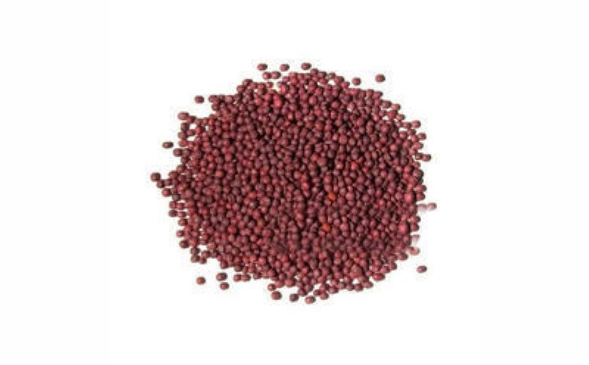بذر شلغم (40گرمی)