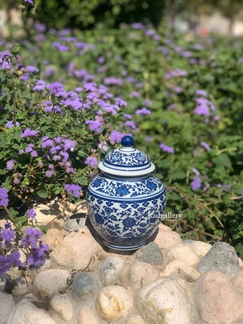 کندی گلریز جذاب سایز ۲۰سانت