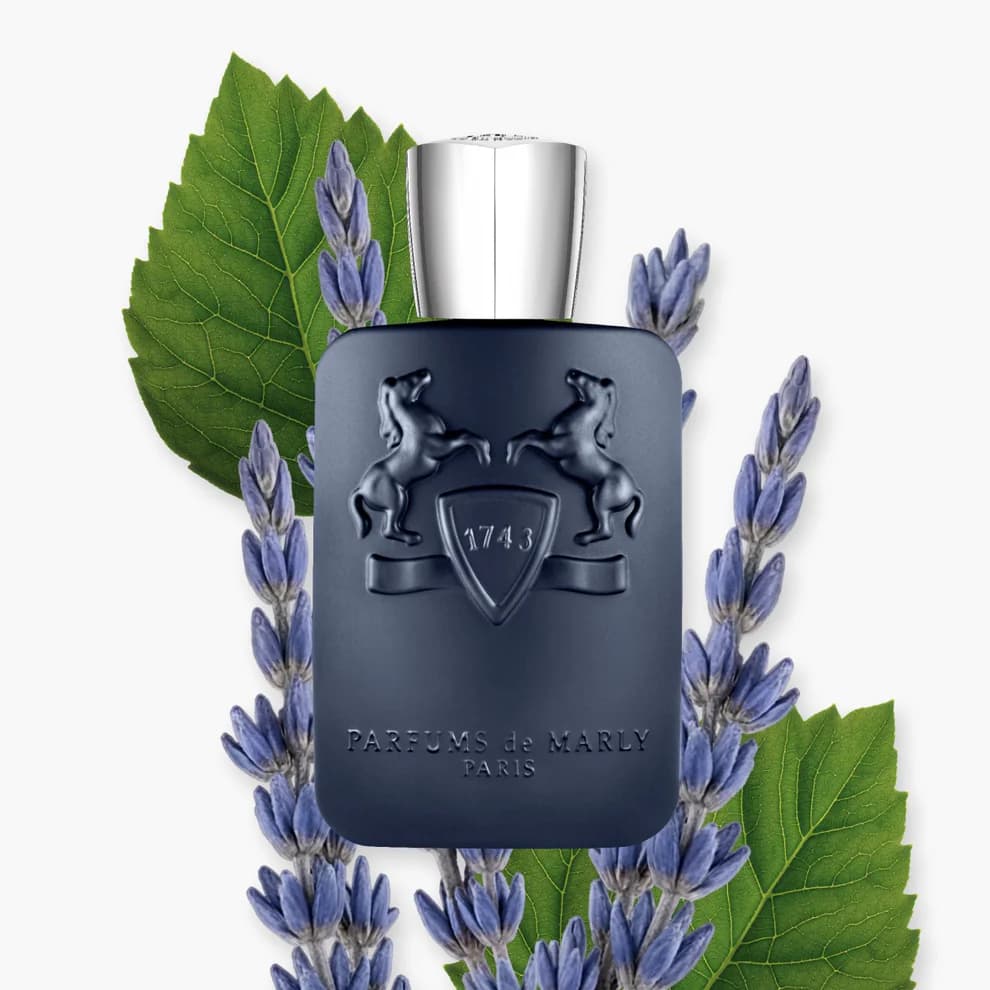 عطر مارلی لیتون عطریانی ۵۰ میل — تصویر ۳